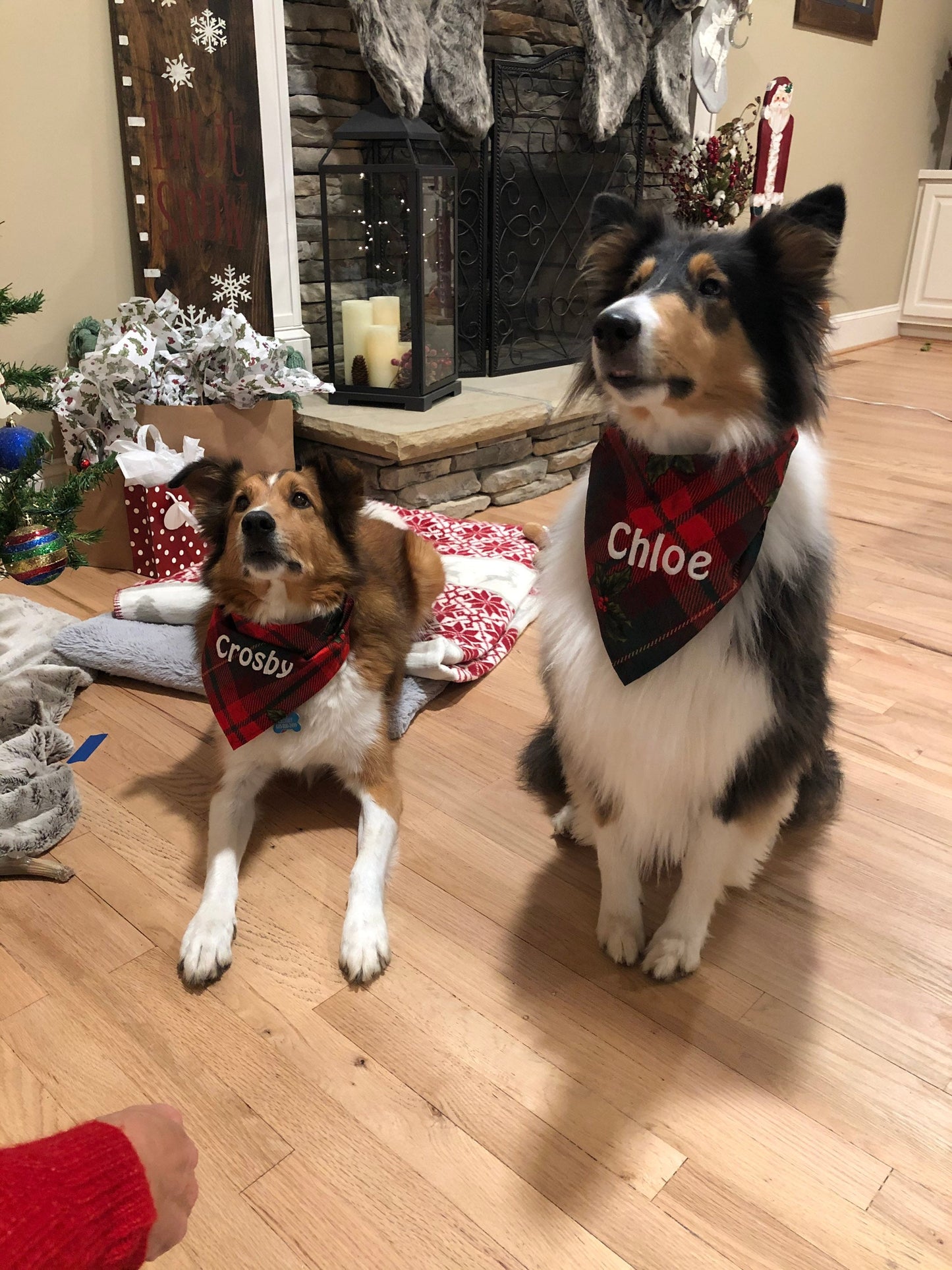 Holiday Themed Personalized Dog Bandana - Valentines Day, Patriotic, Halloween, Thanksgiving, Christmas, and More