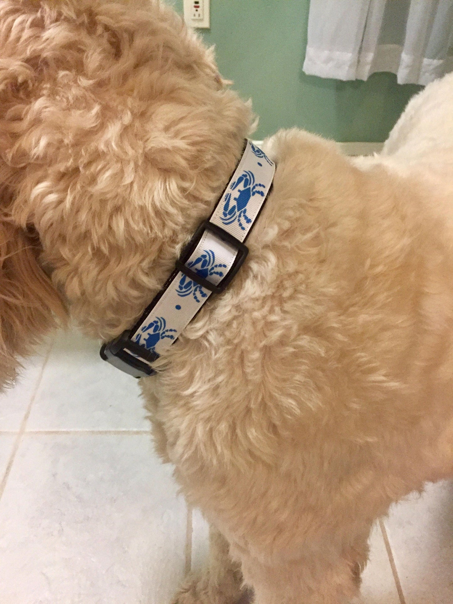 Baltimore Themed Dog Collars