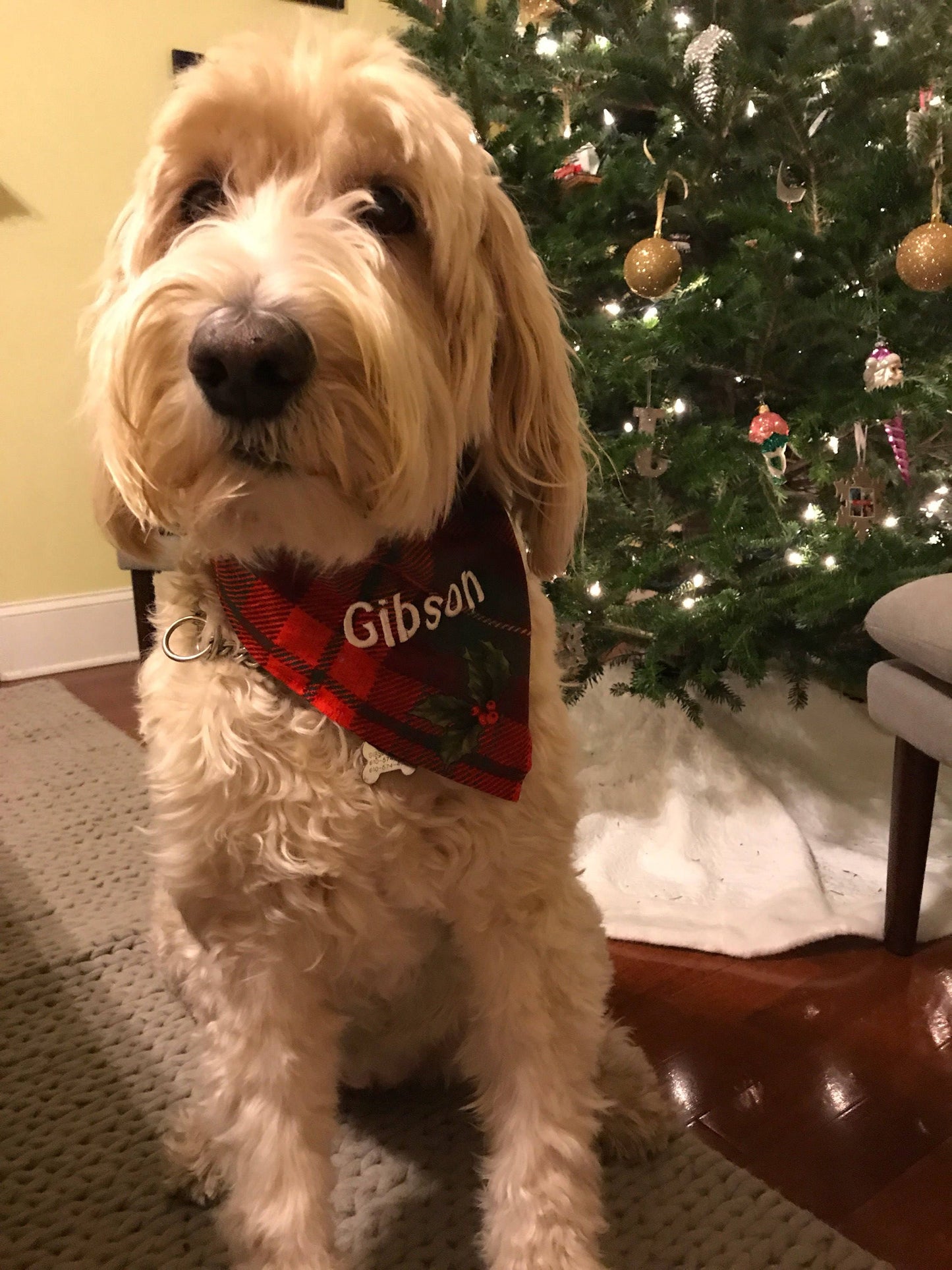 Holiday Themed Personalized Dog Bandana - Valentines Day, Patriotic, Halloween, Thanksgiving, Christmas, and More