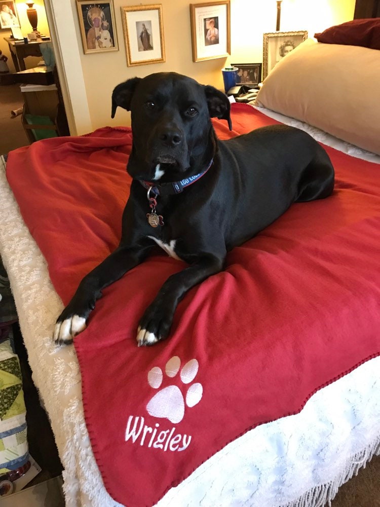 Pet Blanket with Monogram or Name - Great to use for Pets!