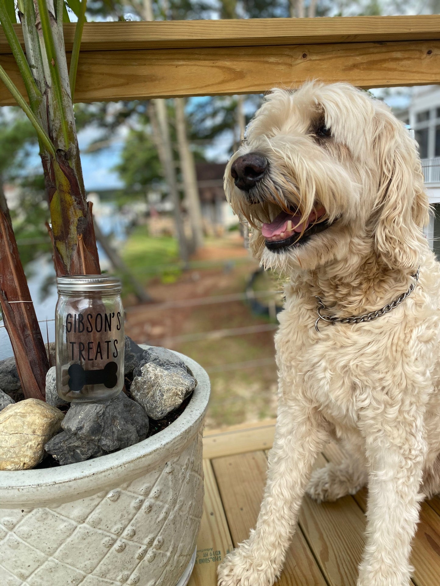 Custom Dog Treat Jar - Personalized
